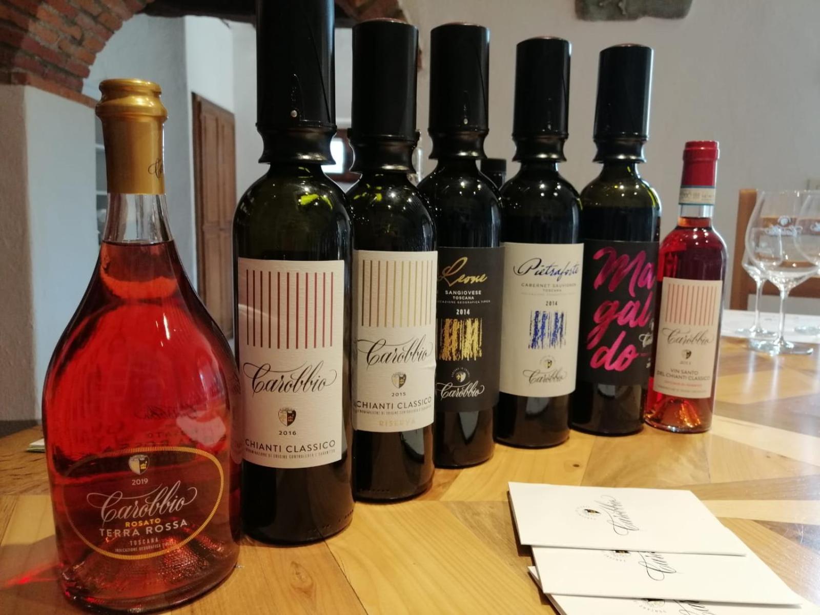 Villa Toscana Il Capiteto Panzano in Chianti Eksteriør billede