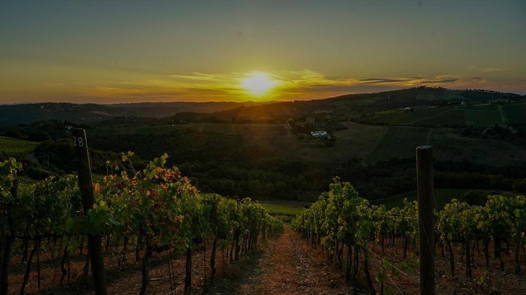 Villa Toscana Il Capiteto Panzano in Chianti Eksteriør billede