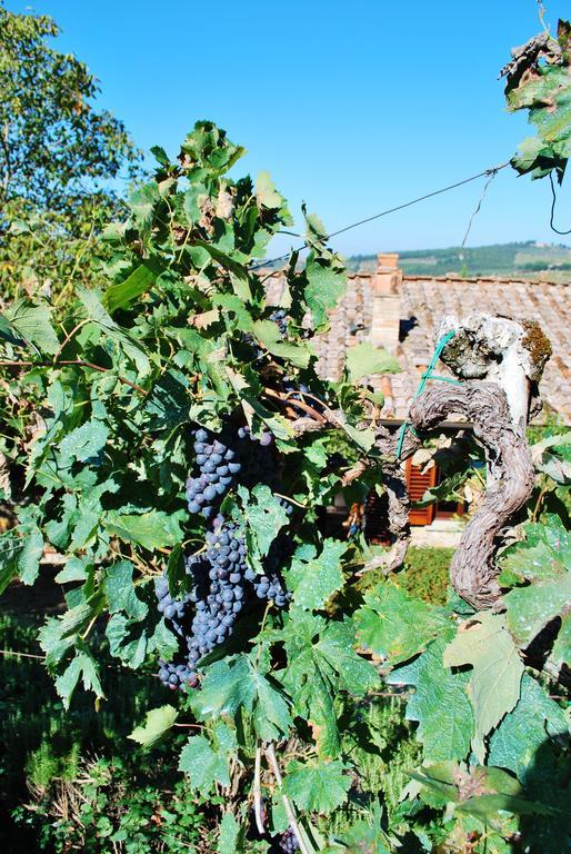 Villa Toscana Il Capiteto Panzano in Chianti Eksteriør billede